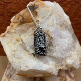 Hanging Iron Buffalo Bar necklace